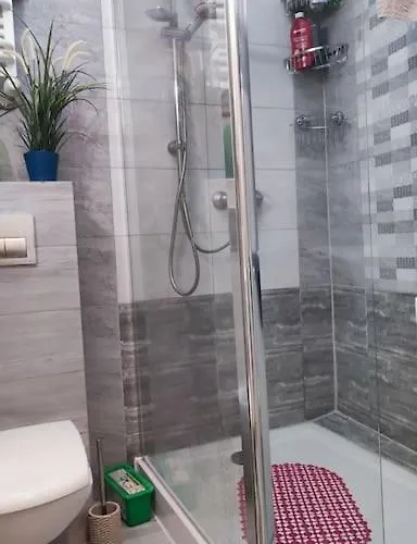 Mieszkanie Przy Zielonej Bramie *