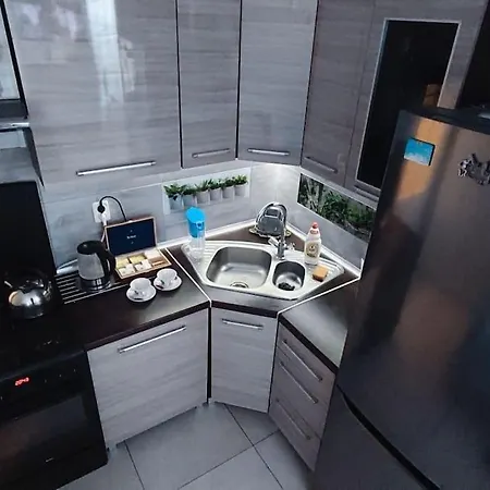 Mieszkanie Przy Zielonej Bramie Apartment